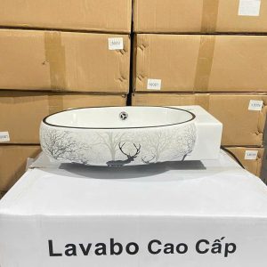 Lavabo đặt bàn 51