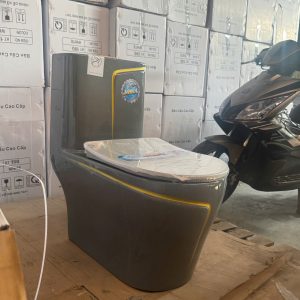 Mẫu cầu liền khối 01