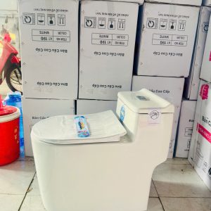 Mẫu cầu liền khối 02
