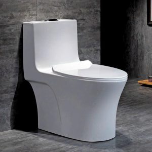 Mẫu cầu liền khối 07